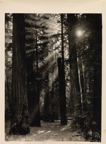 (BOHEMIAN GROVE, CALIFORNIA) Album entitled Bohemian Mid-Summer Jinks, with 22 photographs of this exclusive male campground for the ri
